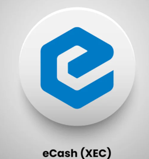 Apa Itu XEC COIN ?