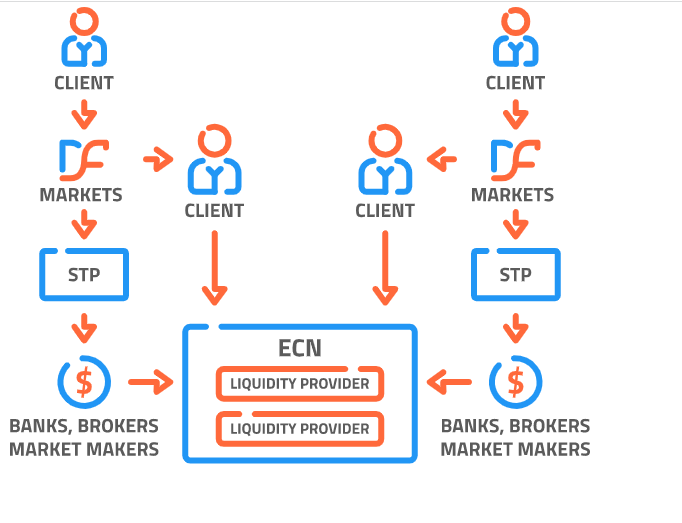 Beda Broker STP dan Market Maker