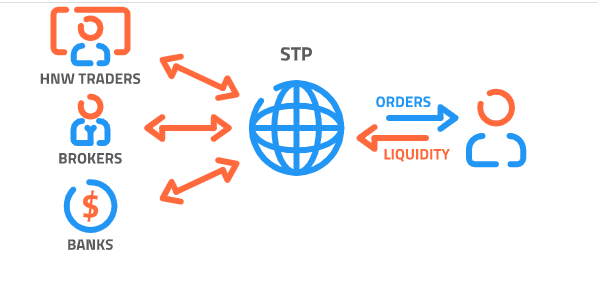 Apa Itu Broker STP?