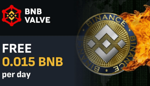 Review Lengkap BNB Valve, Apakah Penipuan