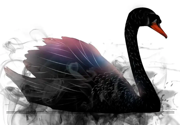 Teori Black Swan（Angsa Hitam）
