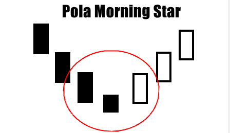 3. Pola Morning Star