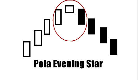 6. Pola Evening Star