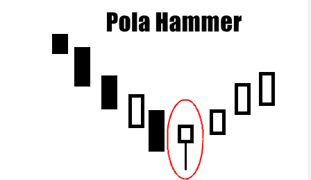 1. Pola Hammer
