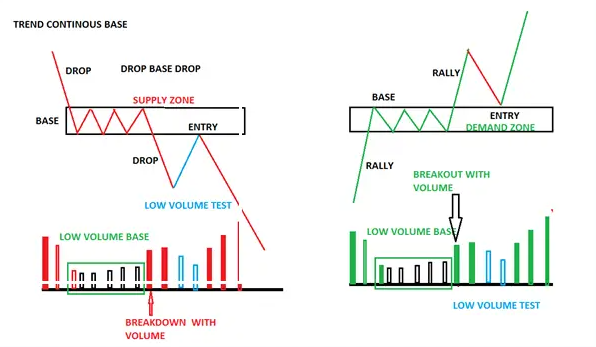 Beda Rally Base Rally dan Drop Base Drop